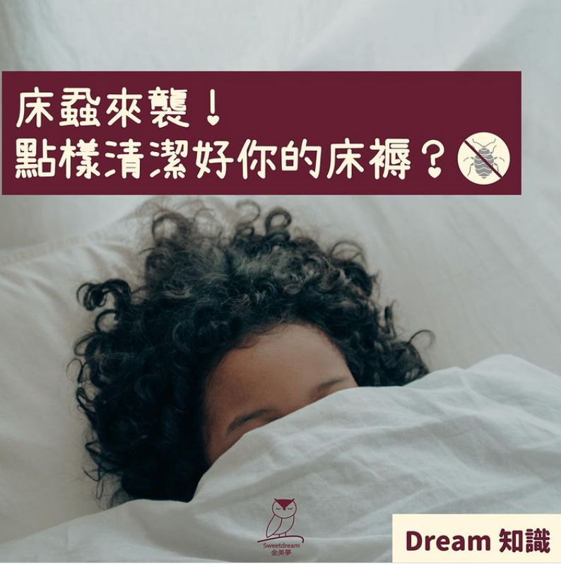 床蝨來襲🐞!點樣清潔好你的床褥?